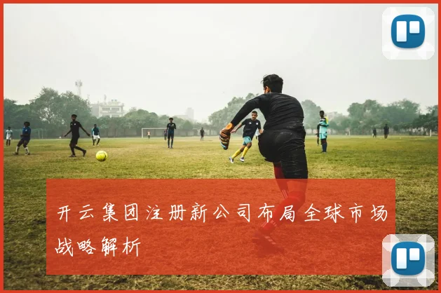 开云集团注册新公司布局全球市场战略解析