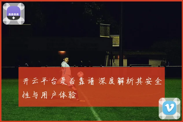 开云平台是否靠谱 深度解析其安全性与用户体验