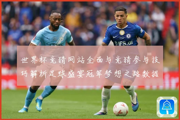 世界杯竞猜网站全面与竞猜参与技巧解析足球盛宴冠军梦想之路数据研判