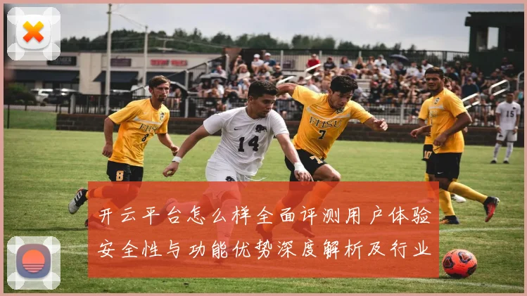 开云平台怎么样全面评测用户体验安全性与功能优势深度解析及行业对比分析