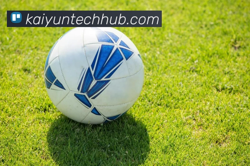 开云平台展示图