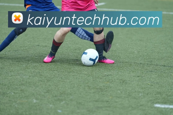 开云手机登录入口及使用指南详解一站式解决方案